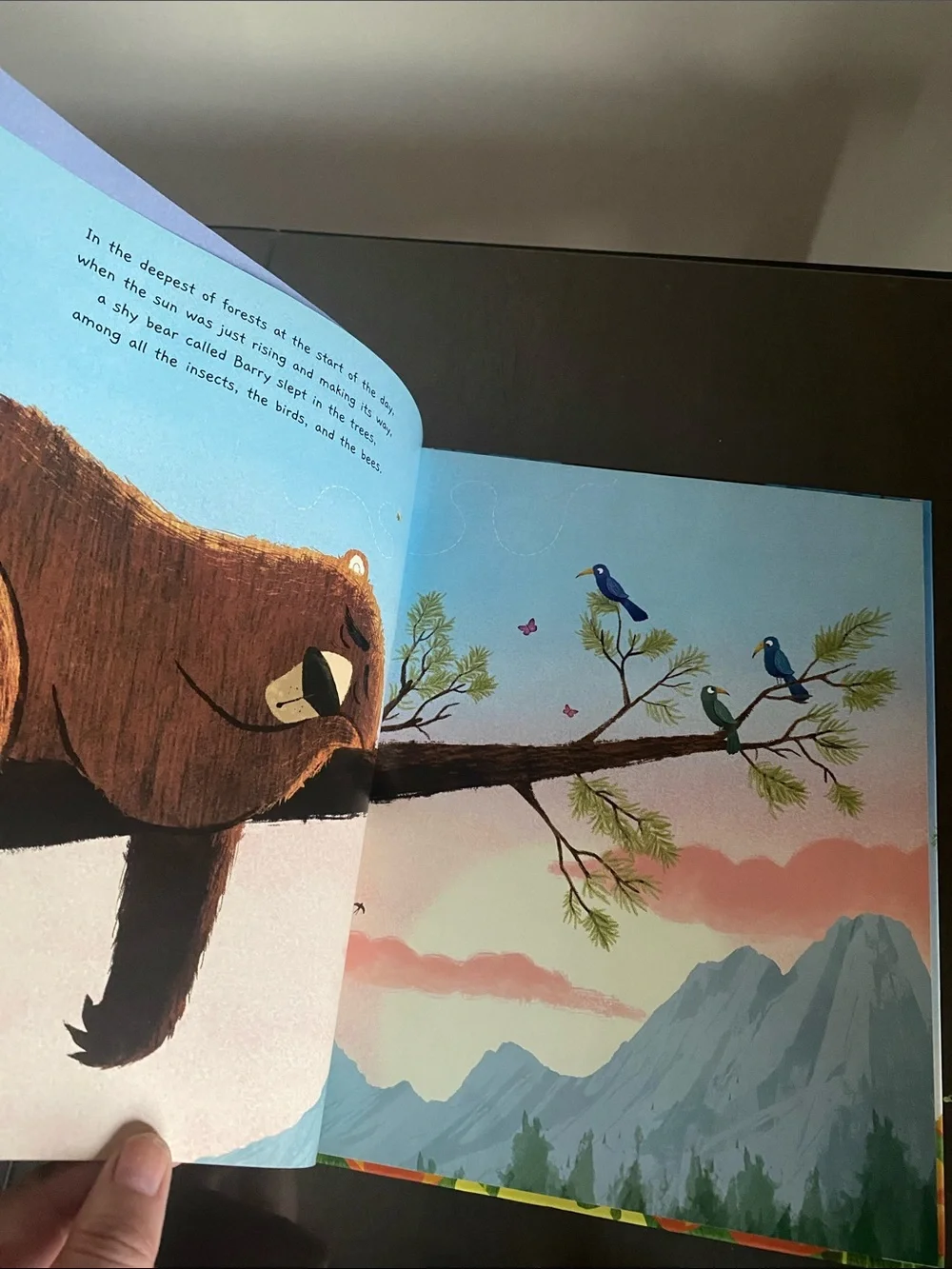 Does a Bear POO in the Woods? Kid Storybook wilderness - Picture 3 of 6